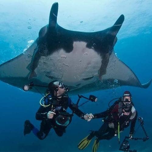 bali center dive