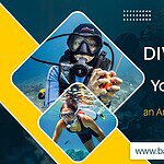 Breathe Easy, Dive Deep: Understanding Your Scuba Regulator for an Amazing Bali Dive