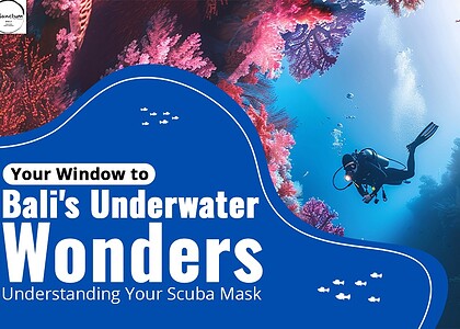 Your Window to Bali's Underwater Wonders: Understanding Your Scuba Mask
