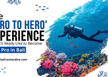 The 'Zero to Hero' Experience — What It's Really Like to Become a Dive Pro in Bali