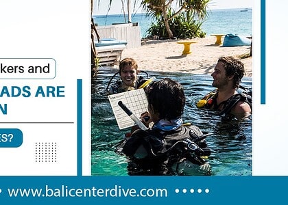 Why Remote Workers and Digital Nomads Are Enrolling in Bali Dive Courses?