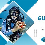 Bali Diving Guide: Dive into Bali’s Underwater Paradise