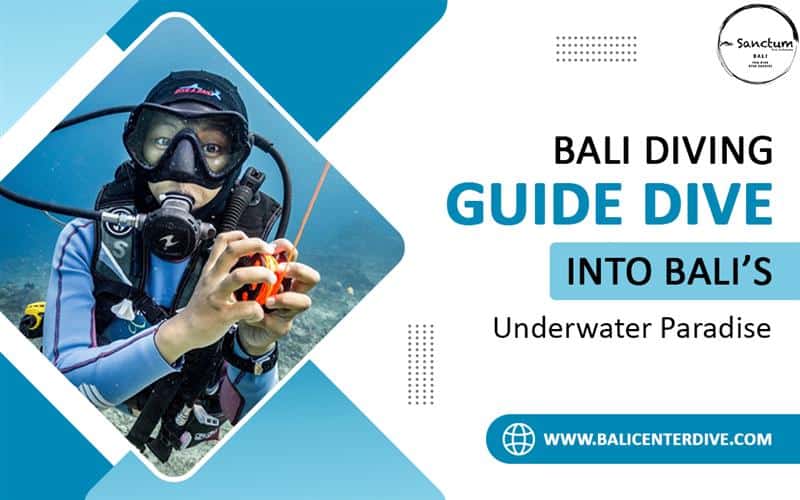 Bali Diving Guide: Dive into Bali’s Underwater Paradise