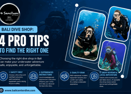 Bali Dive Shop: 4 Pro Tips to Find the Right One