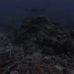 Scuba diver exploring vibrant coral reefs in Nusa Penida, Bali diving experience.