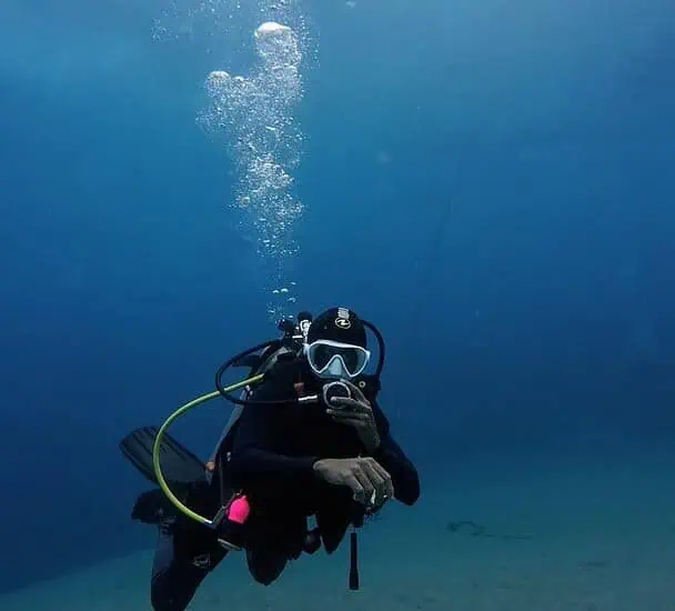 best bali diving The Ultimate Guide to Eco Diving Bali: Dive with Purpose