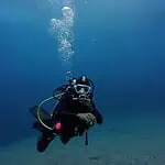 best bali diving The Ultimate Guide to Eco Diving Bali: Protect and Explore Nusa Penida