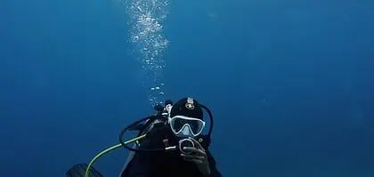 best bali diving The Ultimate Guide to Eco Diving Bali: Dive with a Purpose