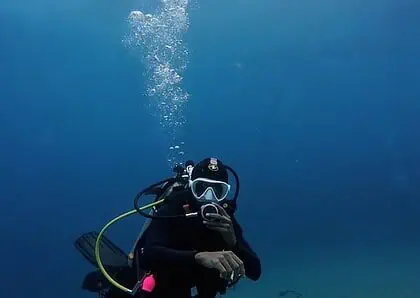 best bali diving The Ultimate Guide to Eco Diving Bali: Dive with a Purpose